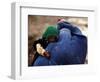 An Afghan Woman Holding Her Child Throws Back Her Burqa to See Her Way Along a Muddy Alley-null-Framed Photographic Print