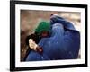 An Afghan Woman Holding Her Child Throws Back Her Burqa to See Her Way Along a Muddy Alley-null-Framed Photographic Print