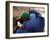 An Afghan Woman Holding Her Child Throws Back Her Burqa to See Her Way Along a Muddy Alley-null-Framed Photographic Print