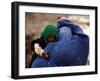 An Afghan Woman Holding Her Child Throws Back Her Burqa to See Her Way Along a Muddy Alley-null-Framed Photographic Print