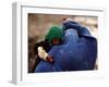 An Afghan Woman Holding Her Child Throws Back Her Burqa to See Her Way Along a Muddy Alley-null-Framed Photographic Print