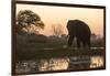 An African elephant (Loxodonta africana) walking in the Khwai River at sunset, Botswana, Africa-Sergio Pitamitz-Framed Photographic Print