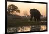 An African elephant (Loxodonta africana) walking in the Khwai River at sunset, Botswana, Africa-Sergio Pitamitz-Framed Photographic Print