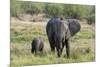 An African elephant (Loxodonta africana) with its calf, Khwai Concession, Okavango Delta, Botswana,-Sergio Pitamitz-Mounted Photographic Print