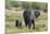 An African elephant (Loxodonta africana) with its calf, Khwai Concession, Okavango Delta, Botswana,-Sergio Pitamitz-Mounted Photographic Print