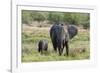 An African elephant (Loxodonta africana) with its calf, Khwai Concession, Okavango Delta, Botswana,-Sergio Pitamitz-Framed Photographic Print