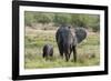 An African elephant (Loxodonta africana) with its calf, Khwai Concession, Okavango Delta, Botswana,-Sergio Pitamitz-Framed Photographic Print