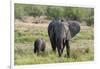 An African elephant (Loxodonta africana) with its calf, Khwai Concession, Okavango Delta, Botswana,-Sergio Pitamitz-Framed Photographic Print