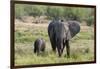 An African elephant (Loxodonta africana) with its calf, Khwai Concession, Okavango Delta, Botswana,-Sergio Pitamitz-Framed Photographic Print