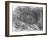 'An After-Dinner Nap, c1900-Helena J. Maguire-Framed Giclee Print