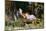 An Afternoon Nap-Harry Mitten Wilson-Mounted Giclee Print