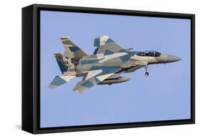 An Aggressor F-15C Eagle of the U.S. Air Force-Stocktrek Images-Framed Stretched Canvas