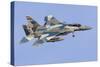 An Aggressor F-15C Eagle of the U.S. Air Force-Stocktrek Images-Stretched Canvas