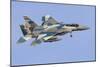 An Aggressor F-15C Eagle of the U.S. Air Force-Stocktrek Images-Mounted Photographic Print