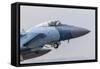 An Aggressor F-15C Eagle of the U.S. Air Force-Stocktrek Images-Framed Stretched Canvas