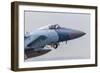 An Aggressor F-15C Eagle of the U.S. Air Force-Stocktrek Images-Framed Photographic Print