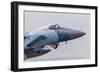 An Aggressor F-15C Eagle of the U.S. Air Force-Stocktrek Images-Framed Photographic Print