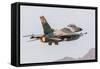 An Aggressor F-16C Fighting Falcon of the U.S. Air Force-Stocktrek Images-Framed Stretched Canvas