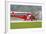 An Agustawestland Aw109 Helicopter of the Swiss Air Rescue-null-Framed Photographic Print