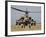 An AH-64A Peten Attack Helicopter of the Israeli Air Force-Stocktrek Images-Framed Photographic Print