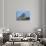 An Airliner Flies beneath Sugarloaf Mountain, Rio De Janeiro.-Jon Hicks-Stretched Canvas displayed on a wall