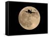 An Airliner is Silhouetted against a Full Moon-null-Framed Stretched Canvas