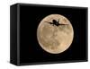 An Airliner is Silhouetted against a Full Moon-null-Framed Stretched Canvas