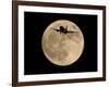 An Airliner is Silhouetted against a Full Moon-null-Framed Photographic Print