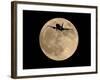 An Airliner is Silhouetted against a Full Moon-null-Framed Photographic Print