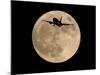 An Airliner is Silhouetted against a Full Moon-null-Mounted Photographic Print