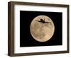 An Airliner is Silhouetted against a Full Moon-null-Framed Photographic Print