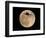 An Airliner is Silhouetted against a Full Moon-null-Framed Photographic Print