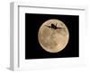 An Airliner is Silhouetted against a Full Moon-null-Framed Photographic Print