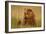 An Alaska Brown Bear Sow Sitting in a Sedge Grass Field. Lake Clark National Park, Alaska-Andrew Czerniak-Framed Photographic Print