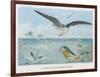 An Albatross at Sea Preying on Flying Fish-P. Lackerbauer-Framed Art Print