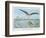 An Albatross at Sea Preying on Flying Fish-P. Lackerbauer-Framed Art Print