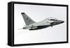 An Alenia Aermacchi M-346 Master Trainer Aircraft of the Israeli Air Force-null-Framed Stretched Canvas