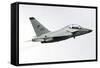 An Alenia Aermacchi M-346 Master Trainer Aircraft of the Israeli Air Force-null-Framed Stretched Canvas