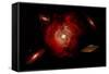 An Alien Flying Saucer Traveling Through the Vastness of Outer Space-null-Framed Stretched Canvas