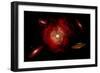 An Alien Flying Saucer Traveling Through the Vastness of Outer Space-null-Framed Art Print