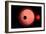 An Alien Planet and its Moon in Orbit around a Red Giant Star-null-Framed Premium Giclee Print