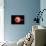 An Alien Planet and its Moon in Orbit around a Red Giant Star-null-Framed Stretched Canvas displayed on a wall