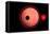 An Alien Planet and its Moon in Orbit around a Red Giant Star-null-Framed Stretched Canvas