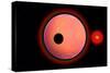 An Alien Planet and its Moon in Orbit around a Red Giant Star-null-Stretched Canvas