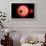 An Alien Planet and its Moon in Orbit around a Red Giant Star-null-Framed Art Print displayed on a wall