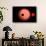 An Alien Planet and its Moon in Orbit around a Red Giant Star-null-Framed Stretched Canvas displayed on a wall