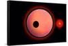 An Alien Planet and its Moon in Orbit around a Red Giant Star-null-Framed Stretched Canvas