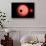 An Alien Planet and its Moon in Orbit around a Red Giant Star-null-Stretched Canvas displayed on a wall