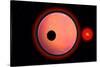 An Alien Planet and its Moon in Orbit around a Red Giant Star-null-Stretched Canvas