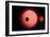 An Alien Planet and its Moon in Orbit around a Red Giant Star-null-Framed Art Print